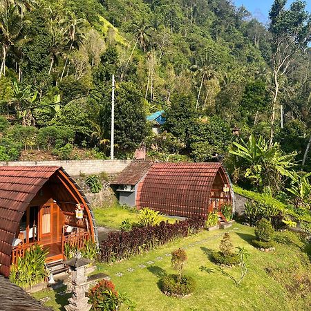 Villa Lumbung Ayu Sari & Spa Karangasem  Exterior photo