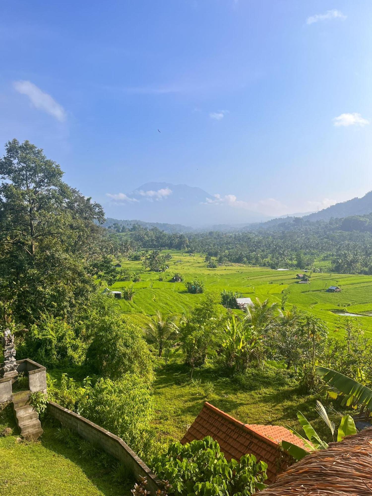 Villa Lumbung Ayu Sari & Spa Karangasem  Exterior photo